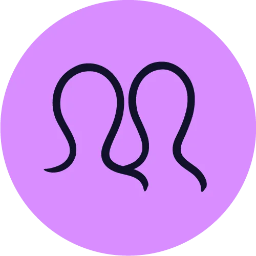 People icon