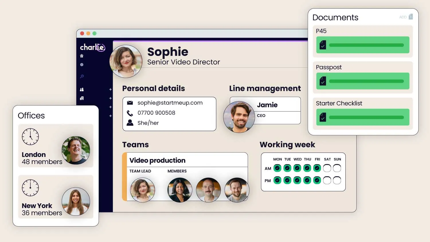 Team information in one place