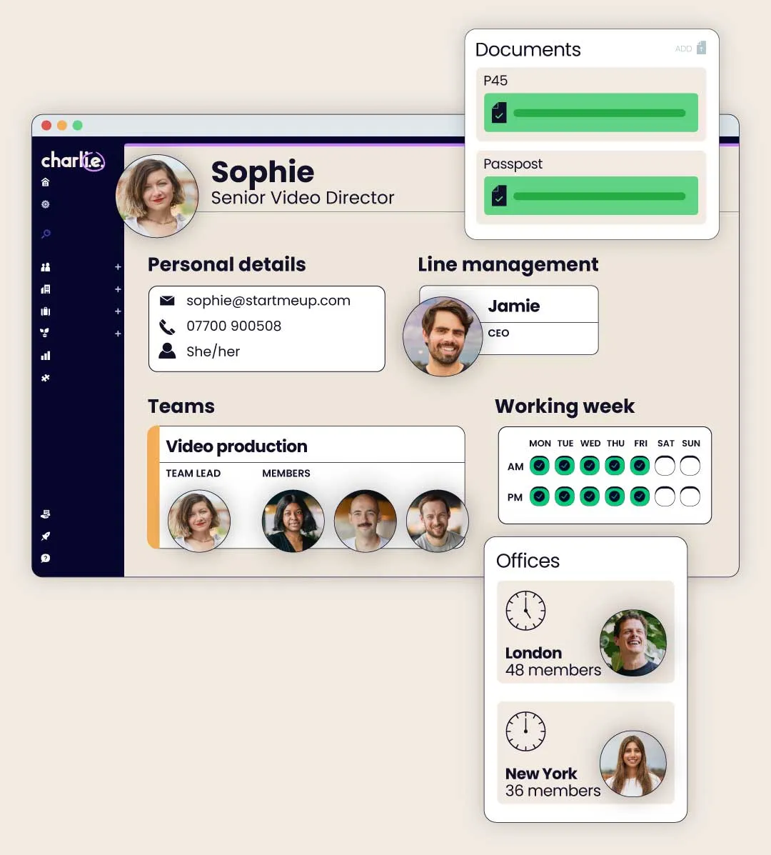 Team information in one place