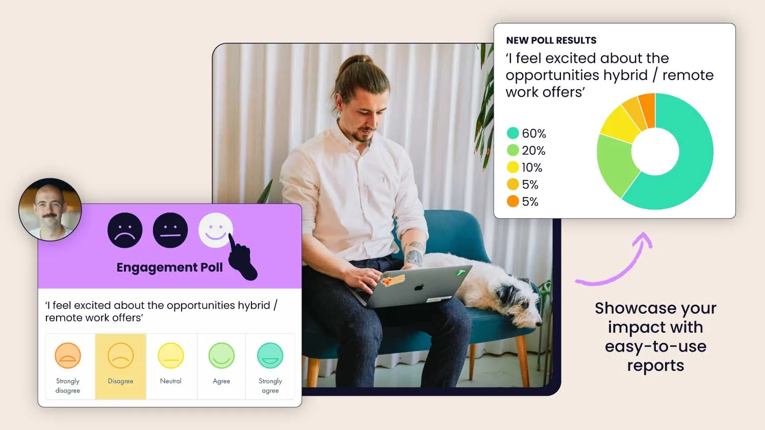 Easy to use reports