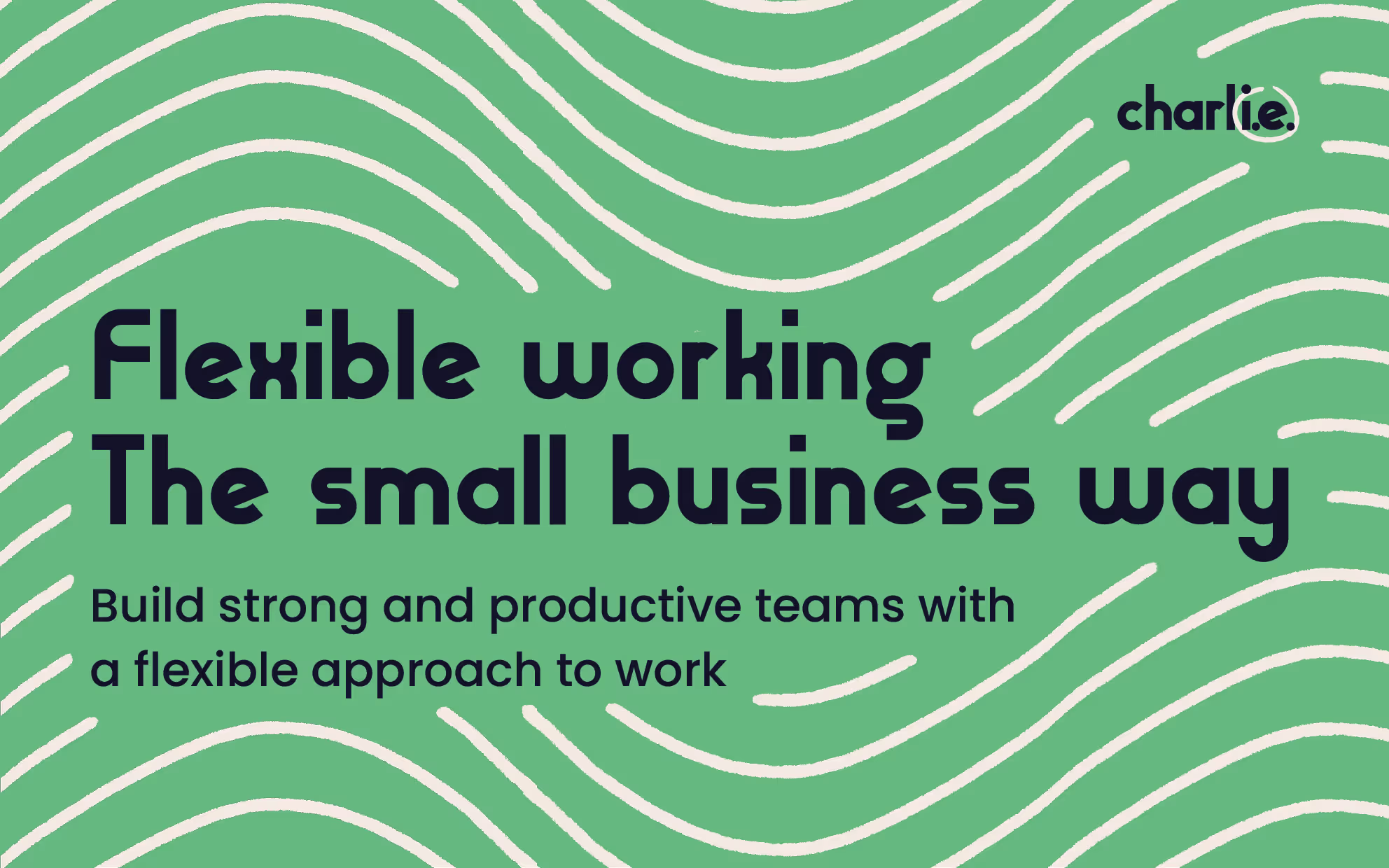 Flexible working guide