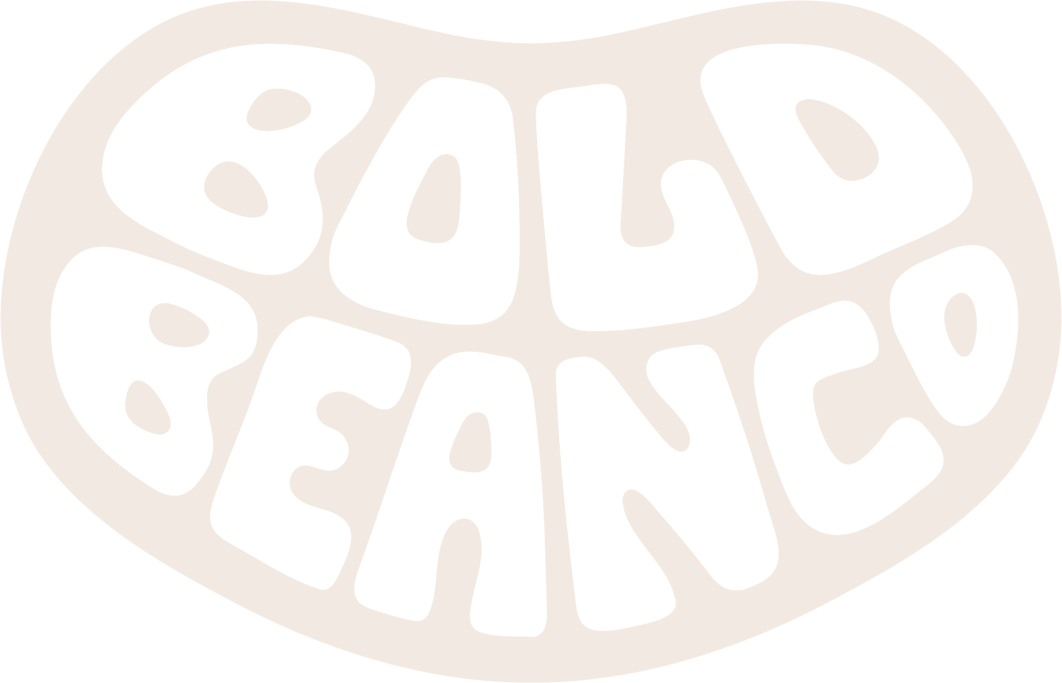 Bold Bean Co
