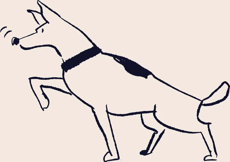 Dog 2